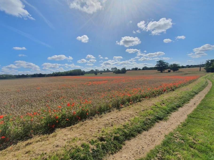 Belle Vue Cottage Downham Market Luaran gambar